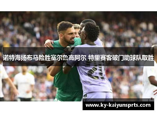 诺特海扬布马险胜塞尔鲁高阿尔 特里赛客破门助球队取胜