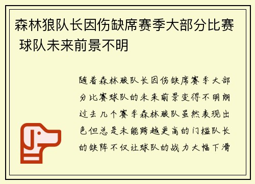 森林狼队长因伤缺席赛季大部分比赛 球队未来前景不明