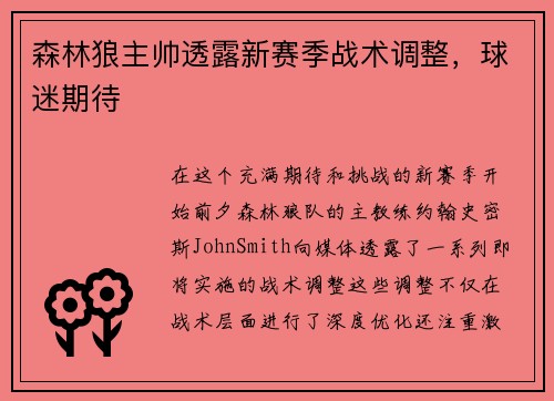 森林狼主帅透露新赛季战术调整，球迷期待