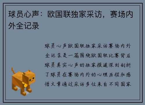 球员心声：欧国联独家采访，赛场内外全记录