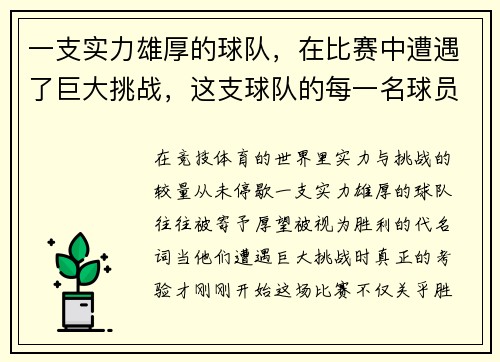 一支实力雄厚的球队，在比赛中遭遇了巨大挑战，这支球队的每一名球员都非常优秀