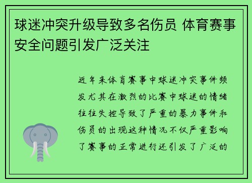 球迷冲突升级导致多名伤员 体育赛事安全问题引发广泛关注